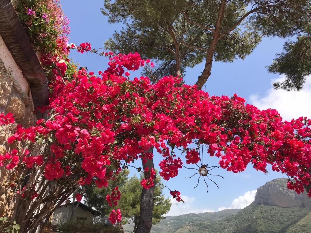 Villaggio Turistico da Tonino Seglia San Bernardo Esterno foto